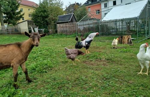 Wohnen in der alten Max Selbmann Villa - Foto 12
