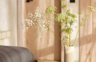 Cabañas Agotzenea - Foto 3