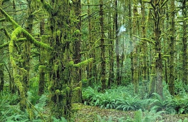 WC Oceanside Inn - Foto 18