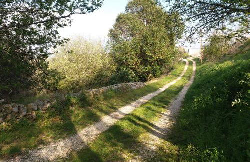 Trulli di Puglia - Casa vacanze in Valle d'Itria - Foto 14