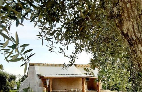 Quinta Terramadome: Dome incomum & responsável - Foto 1