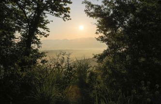 Podere Porcino - Foto 15