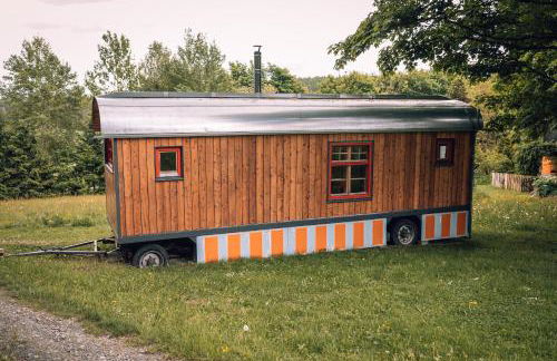 Benno der Wagen - kreativ gestaltetes Tiny House AM WALDRAND Nahezu Alleinlage Rennsteig Grünes Band NATUR PUR Hund willkommen - Foto 25