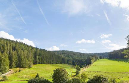 Haus Zum Sternen - Photo 35