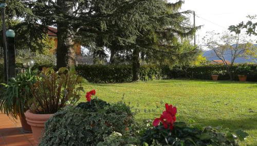 Independent apartment with a fabulous patio - Casa Penny - Photo 2, Garden