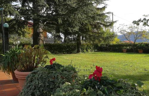 Independent apartment with a fabulous patio - Casa Penny - Foto 2