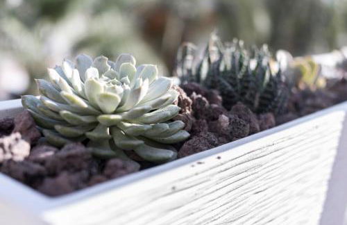 Seaport Aguadulce Beach - Foto 9