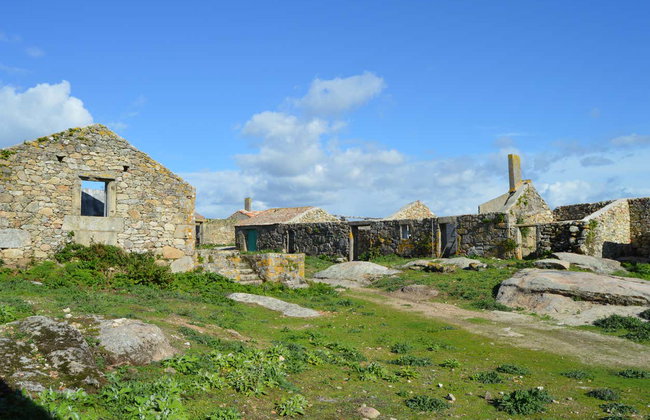 Excursão à ilha de Sálvora - Foto 7