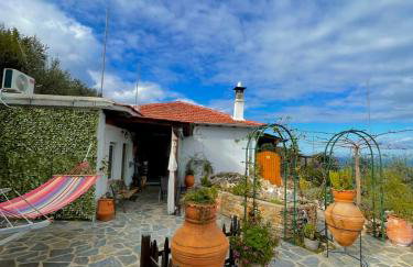 To giataki tou pappou - Foto 41