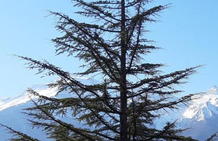 Casa ai piedi del monte Camicia - Photo 34