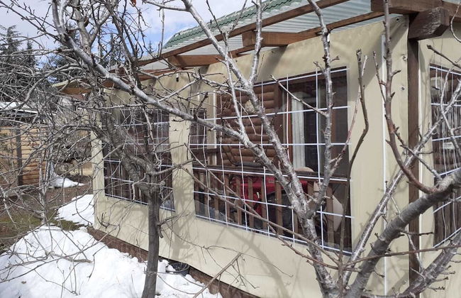 Dalia Barama - Photo 8