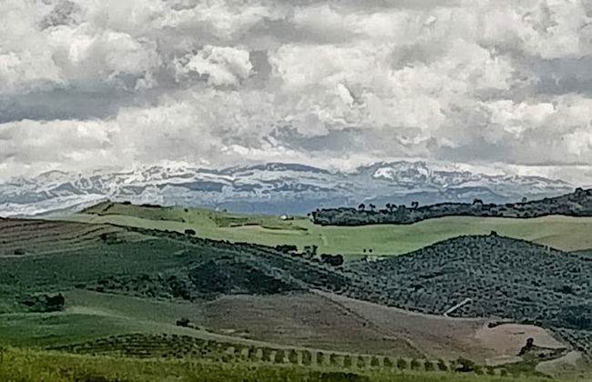 Nature Lovers Escape on an Eco-friendly Vineyard - Foto 48