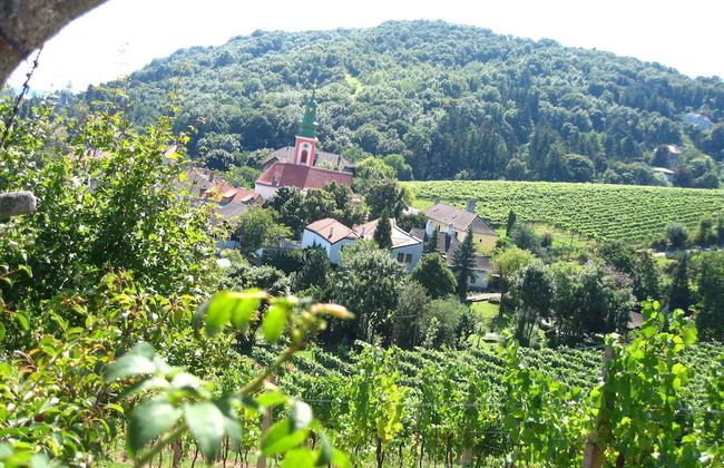 Sobieski Apartments Vienna - Foto 41