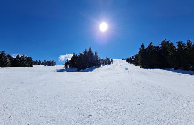 Pino Nero- Apartment - Foto 13