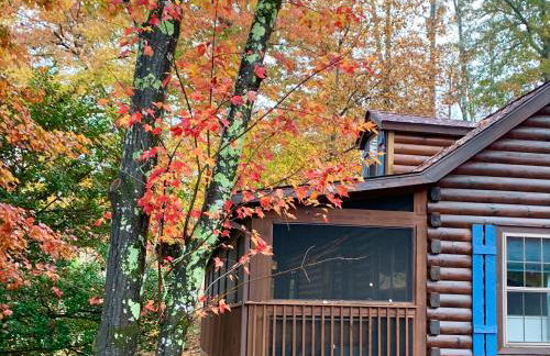 Log Cabin Walkable to Lake Lure & Chimney Rock - Blue Skies - Foto 2