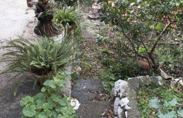 Apartments by the sea Babine Kuce, Mljet - 610 - Photo 6