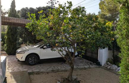 Villa Carolina - Foto 23