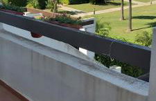 Condado de alhama, naranjos 8 - Foto 31