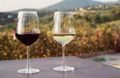 AZIENDA AGRICOLA CA' LUNGA - Foto 33