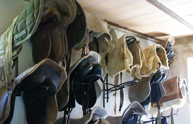 La Costa de Mollo - Foto 32