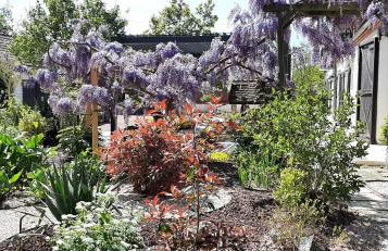 Gîte Glycines & Nature, proche Beauval et Châteaux - Foto 33