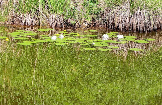 7 Person Holiday Home in Odensbacken - Foto 8