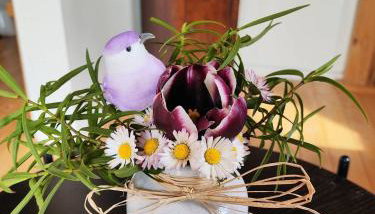 Au chant des oiseaux - rouge gorge - Foto 4