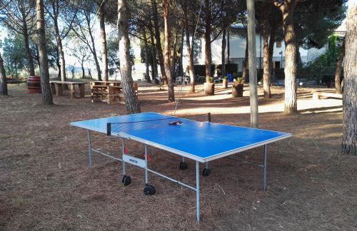 Dolce Vita - Foto 60