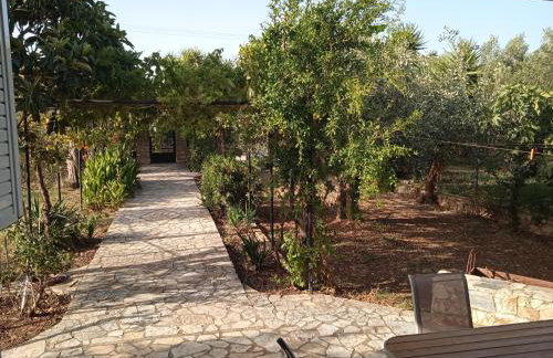 Vicino al mare - Foto 20