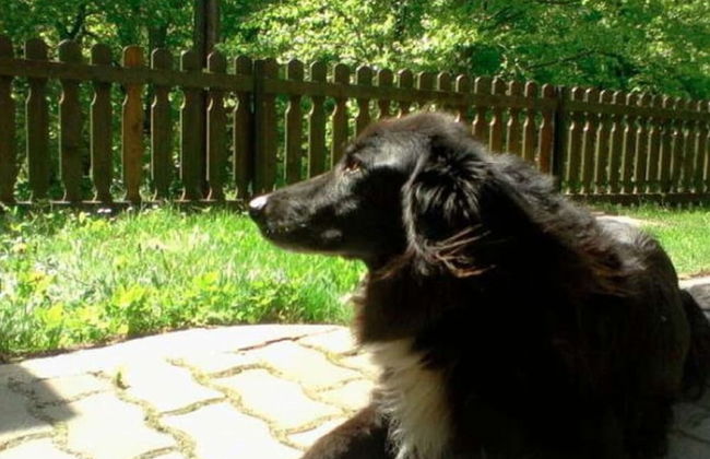 Welcoming Apartment near Forest in Vordenberg - Foto 8