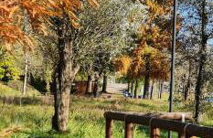 AL 2789 Casa Vacanza - Foto 16