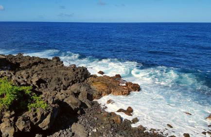 Aloha Ohia Hale 1 Bedroom Home by RedAwning - Foto 48