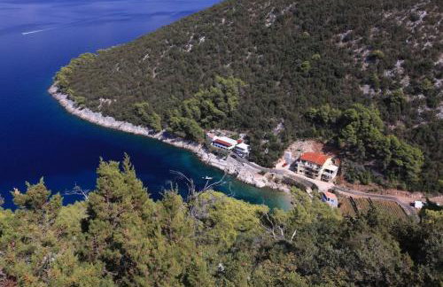 Robinson Bella - Foto 11