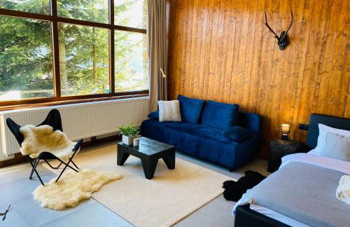 Apartamenty Piwniczna - Foto 18