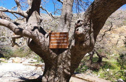 Aspasia's House - Foto 36