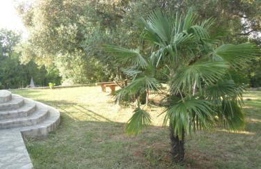 Apartments Juretic - Photo 48