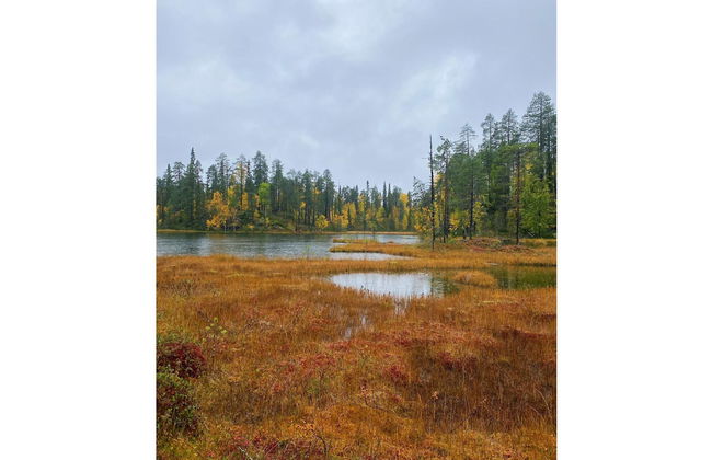 Sallan lumous a - Foto 27