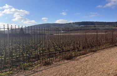 Au 8 à Meursault, Magnifique maison Bourguignonne au pied des vignes, jardin, places de parking privée - Foto 32