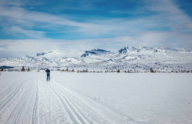 Modern Mountain Cabin - Outdoor Hot Tub - 8 Beds - Foto 55