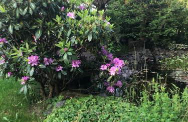 Gemütliche Fewo Nähe Hachenburg, Bad Marienberg - Foto 18