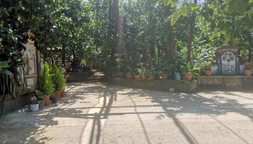 Agriturismo Il Giardino di Vigliano - Foto 3, Garden view