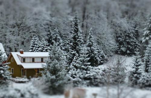 Waldhaus Bielatal - Foto 23