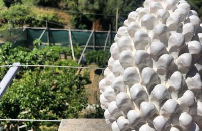 Donna Caterì - Photo 10