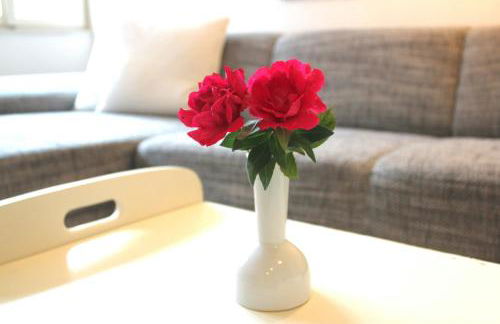 himmlischer Hof - Juwel von 1477 mit P, romantischer Innenhof, Kamin, Öko, Denkmal - Foto 22