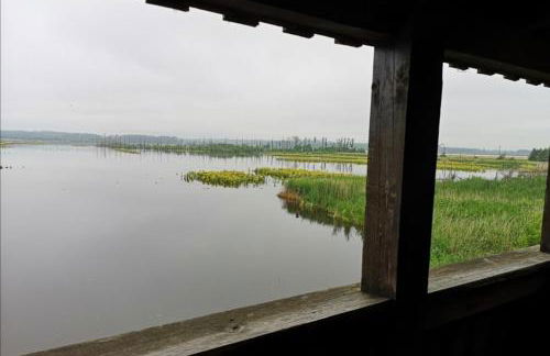 Sommerhaus Verchen - Foto 24