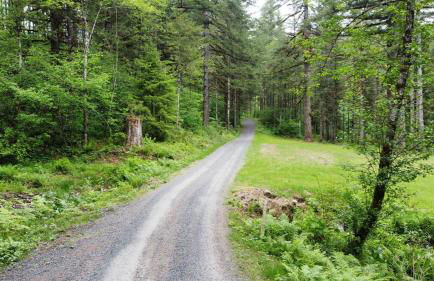 Kanati Falls Ranch - Foto 52