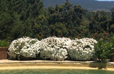 encantadora casa ibicenca - Foto 11