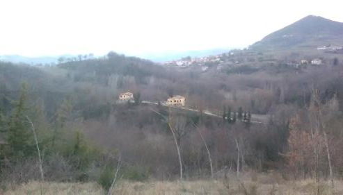 Il Gelso Rosso - Foto 5