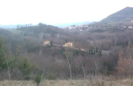 Il Gelso Rosso - Foto 5