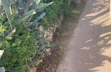 Vila Klara - Foto 22